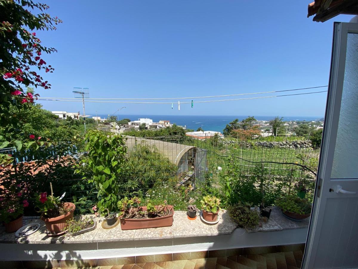 Apartamento A Cas E Rosa Forio di Ischia